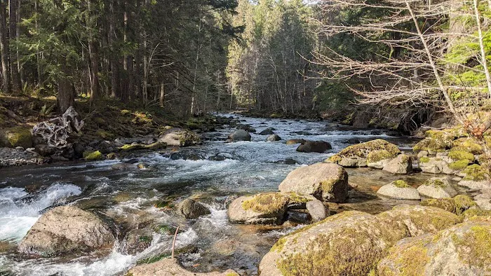 North Fork Bear Group Camp Picture 6