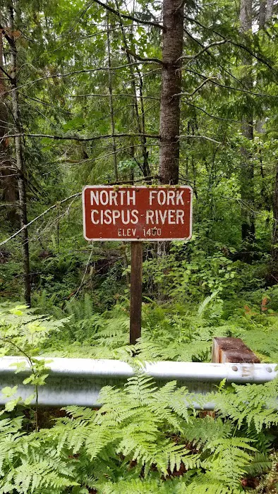 North Fork Bear Group Camp Picture 5