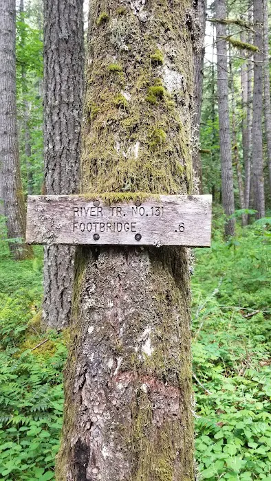 North Fork Bear Group Camp Picture 9
