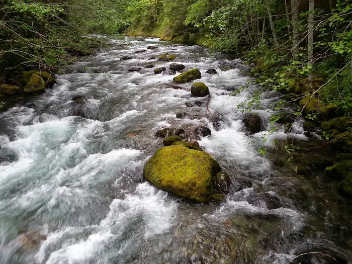 North Fork Campground Picture 1