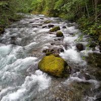 North Fork Campground ico