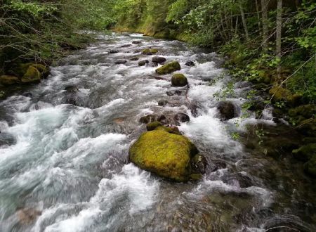North Fork Campground