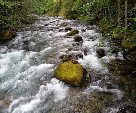North Fork Campground