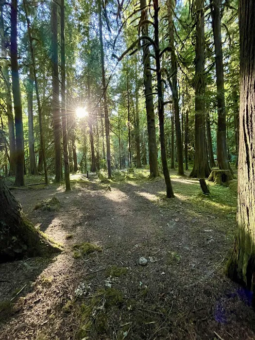 North Fork Campground Picture 6