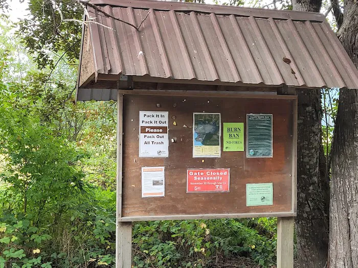 Riffe Lake Picture 2