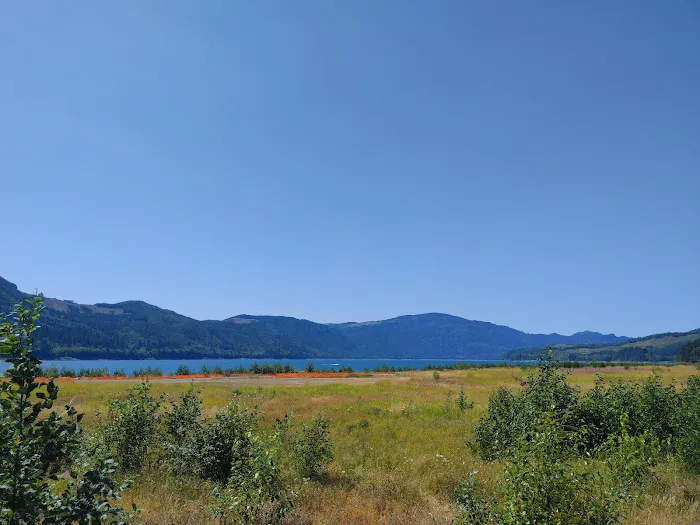 Riffe Lake Picture 4