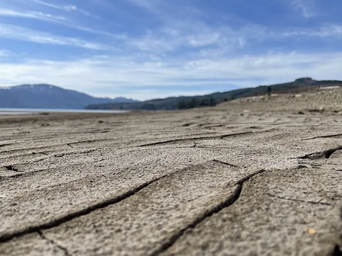 Riffe Lake Picture 7