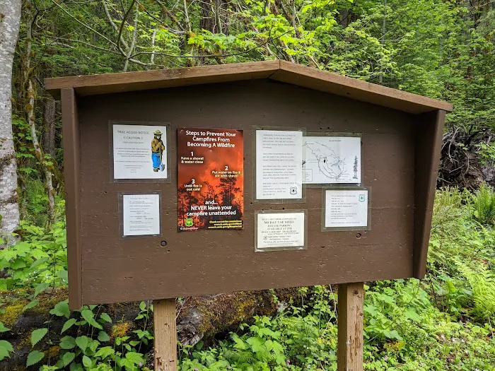 Blue Lake Creek Campground Picture 3
