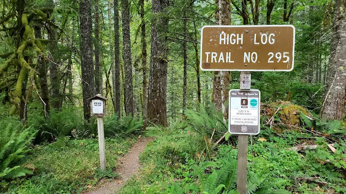 Blue Lake Creek Campground Picture 2