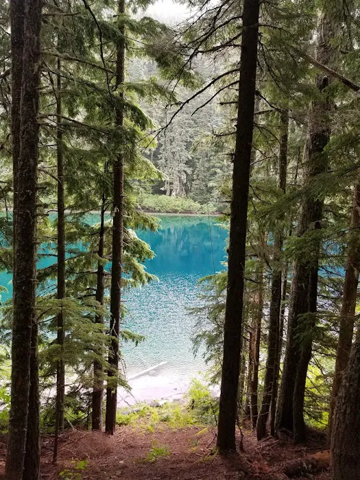 Blue Lake Creek Campground Picture 4