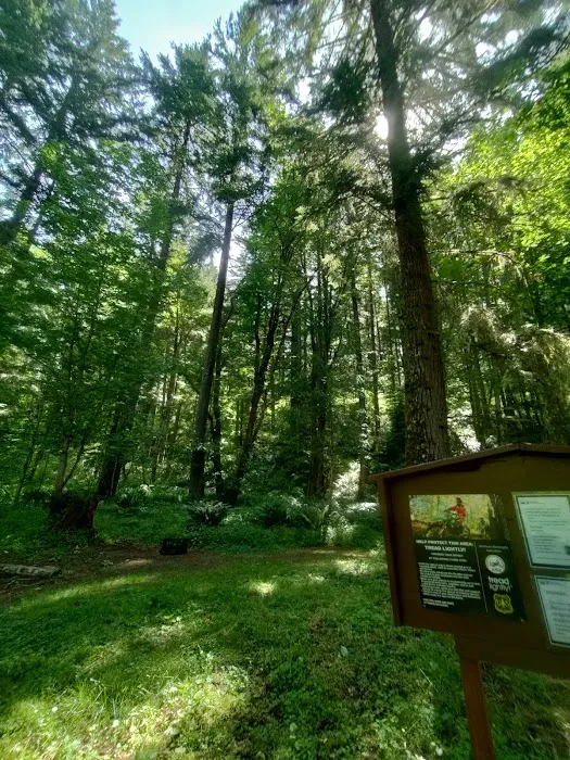 Blue Lake Creek Campground Picture 9