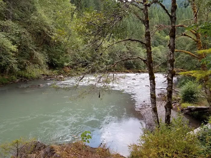 Blue Lake Creek Campground Picture 5