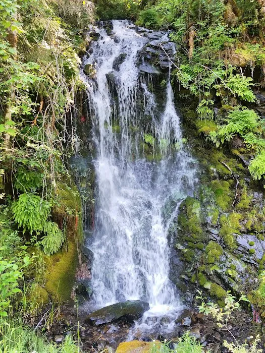 Blue Lake Creek Campground Picture 6