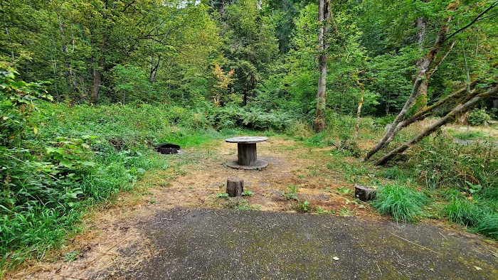 Blue Lake Creek Campground Picture 10