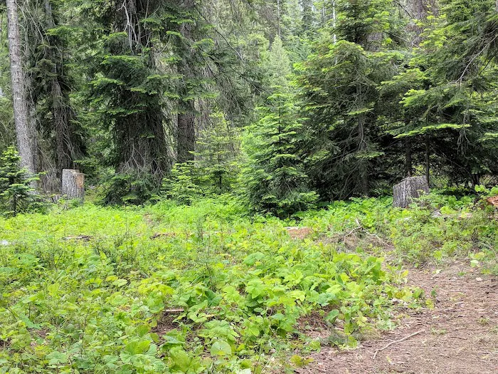 Cougar Flat Campground Picture 9