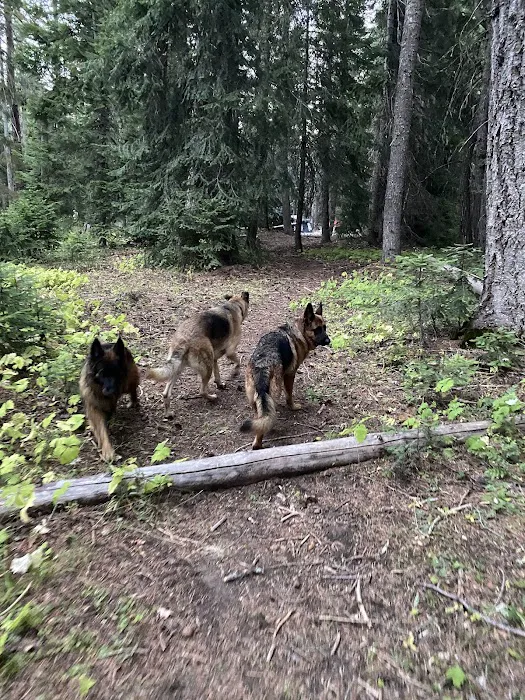 Cougar Flat Campground Picture 6