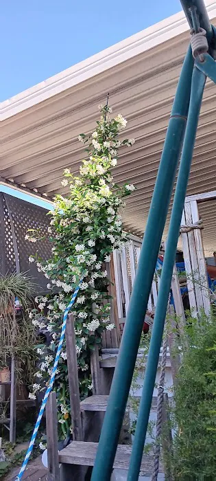 Sun Garden Mobile Home Village Picture 10