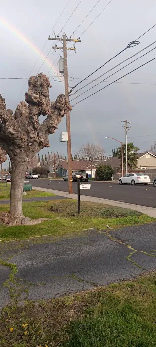 Sun Garden Mobile Home Village Picture 9