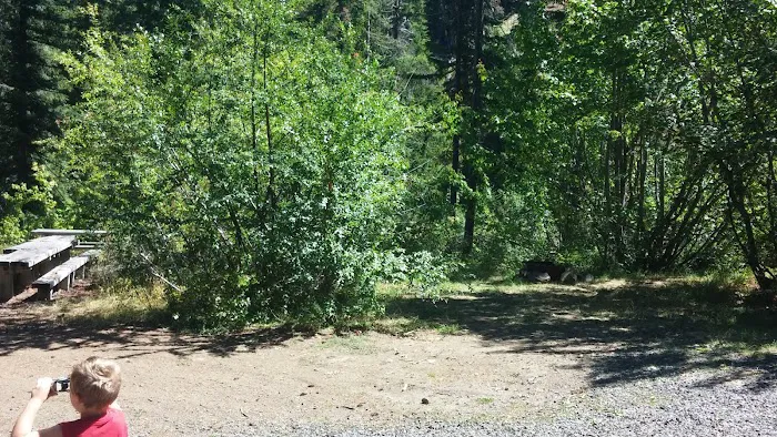 Pine Needle Group Site Picture 1