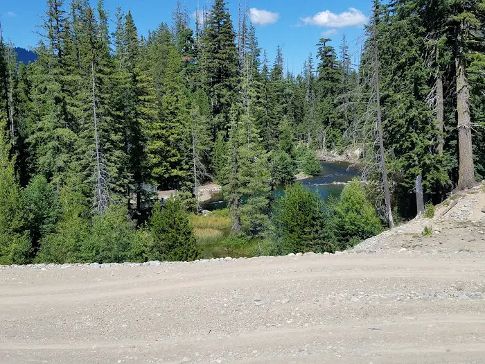 Pine Needle Group Site Picture 3