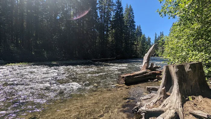 Cedar Springs Campground Picture 2