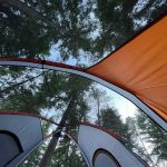 Cedar Springs Campground