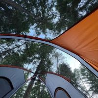 Cedar Springs Campground ico
