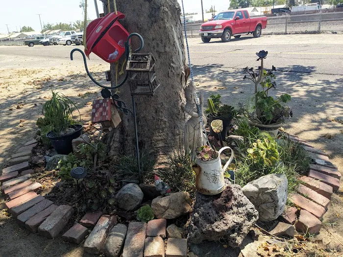 Turlock Mobile Estates Picture 2