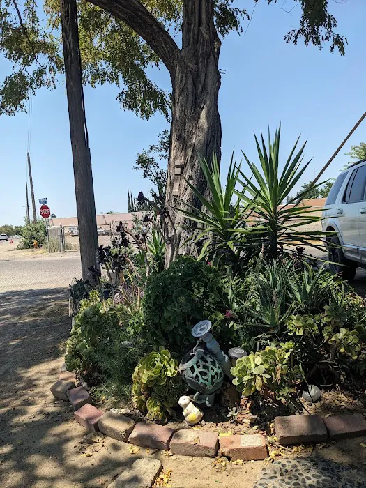Turlock Mobile Estates Picture 6