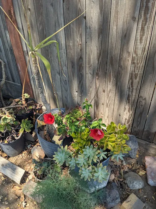 Turlock Mobile Estates Picture 9