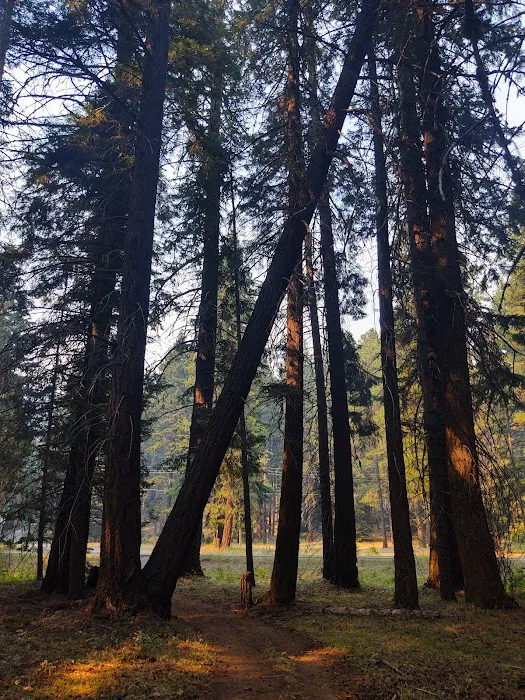 Indian Creek Campground Picture 10
