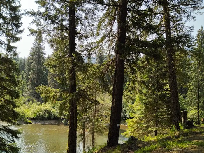 Clear Lake Campground North Picture 1