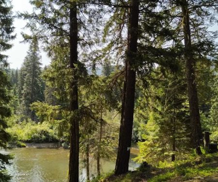 Clear Lake Campground North