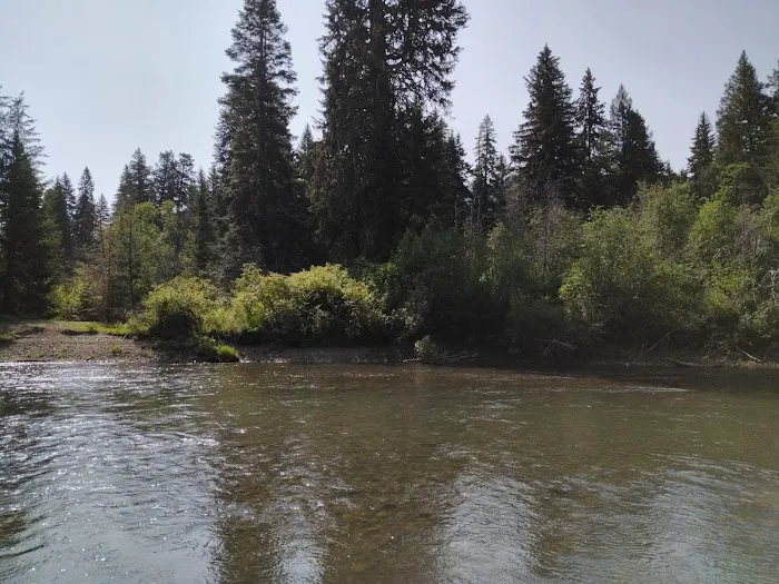 Clear Lake Campground North Picture 5