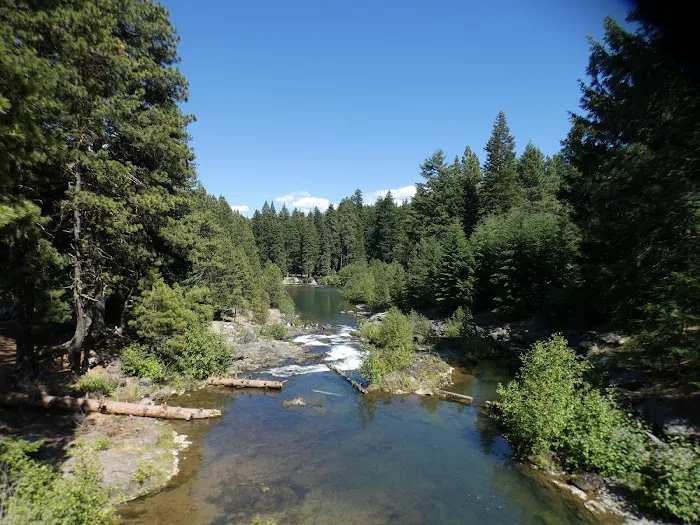 Clear Lake South Campground Picture 2