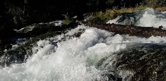 Clear Lake South Campground Picture 9