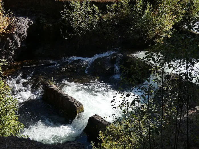 Clear Lake South Campground Picture 7
