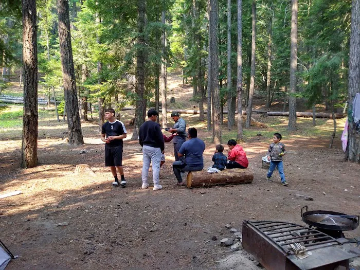 Unimproved Clear Lake North Group Campground Picture 4