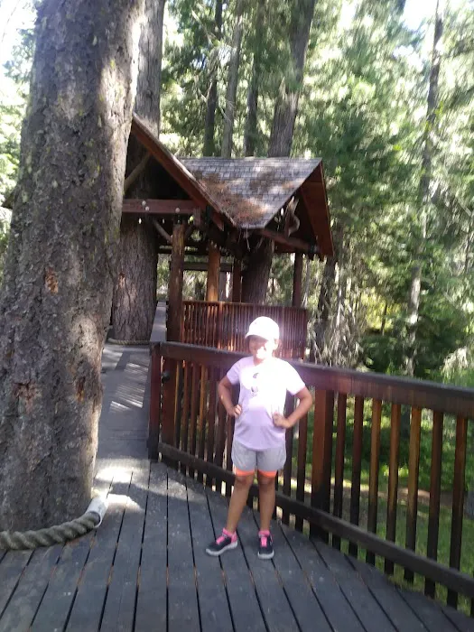 Unimproved Clear Lake North Group Campground Picture 9