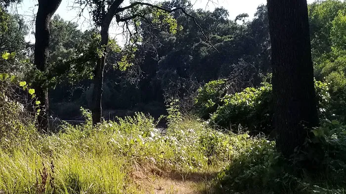 Mokelumne Beach RV Park Picture 7