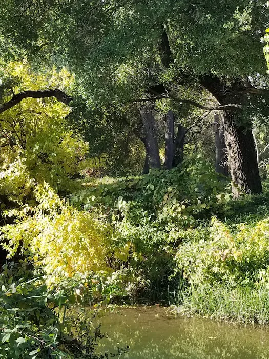 Mokelumne Beach RV Park Picture 8