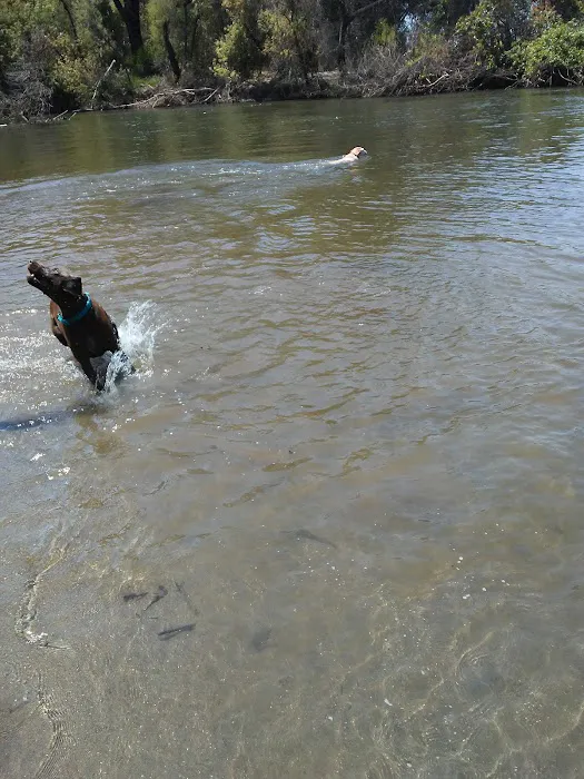 Mokelumne Beach RV Park Picture 9
