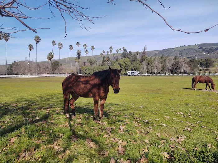 Coyote Valley RV Resort Picture 7