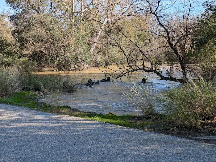 Coyote Valley RV Resort Picture 9