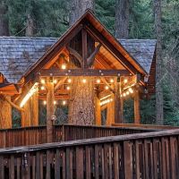 Camp Prime Time ico