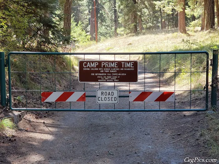 Camp Prime Time Picture 10