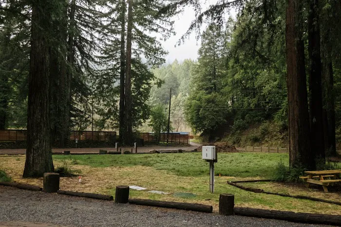 Redwood Village Picture 3
