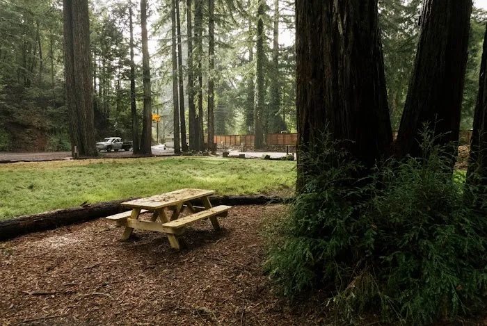 Redwood Village Picture 7