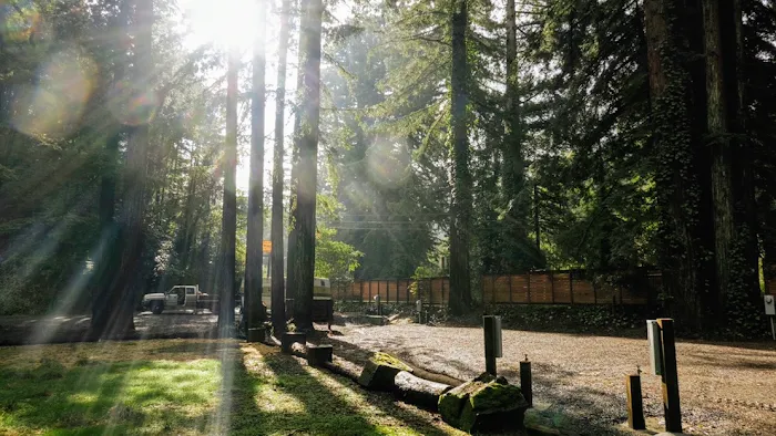 Redwood Village Picture 6