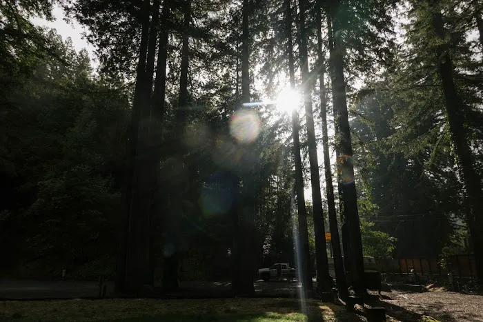 Redwood Village Picture 4